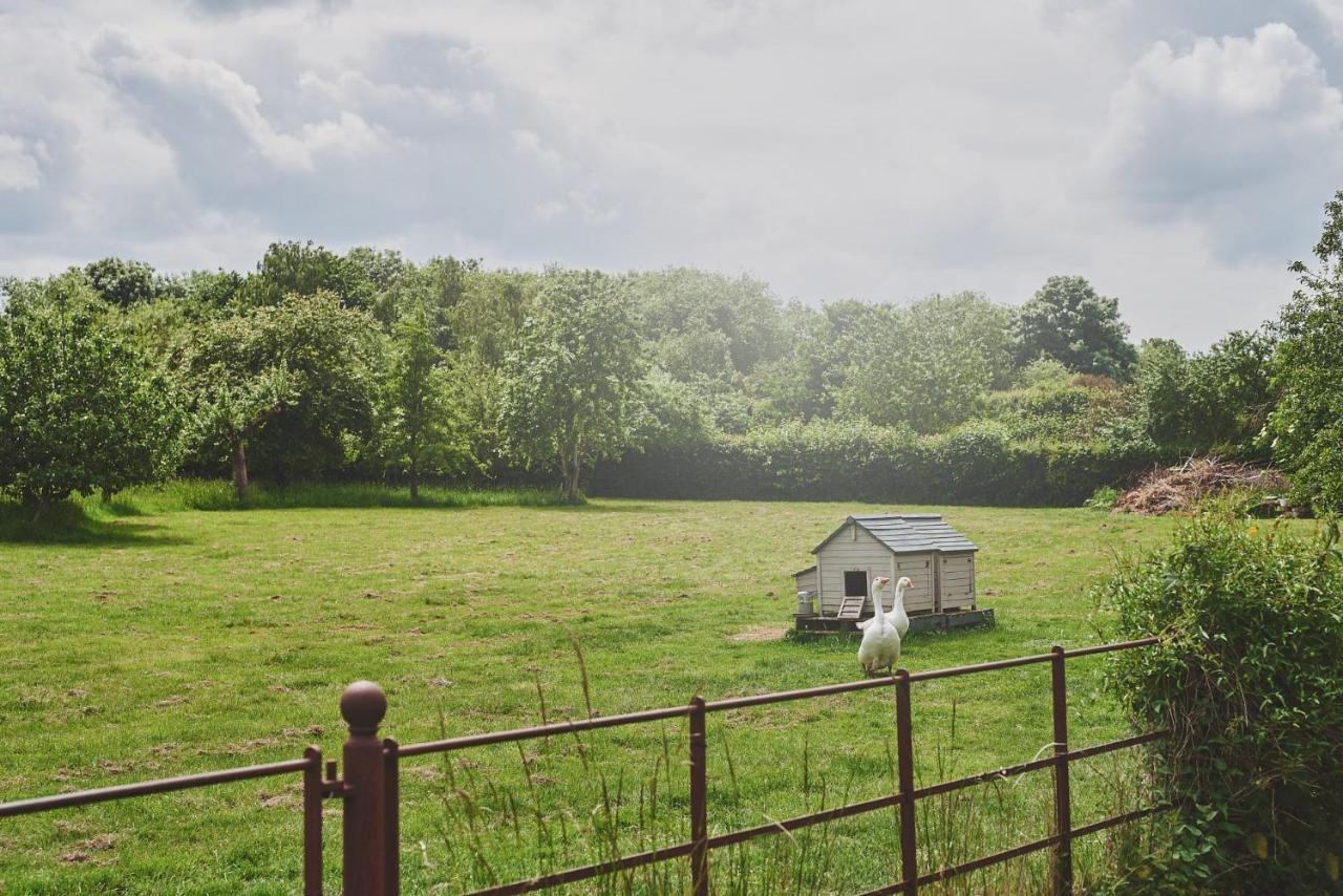 Apple Tree Cottage Beckford Екстер'єр фото